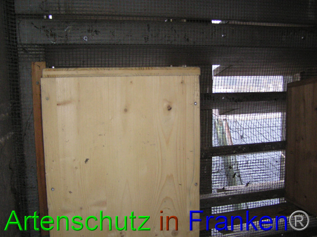 © Artenschutz in Franken® / Kunze Bild zum Eintrag (1059957-160)