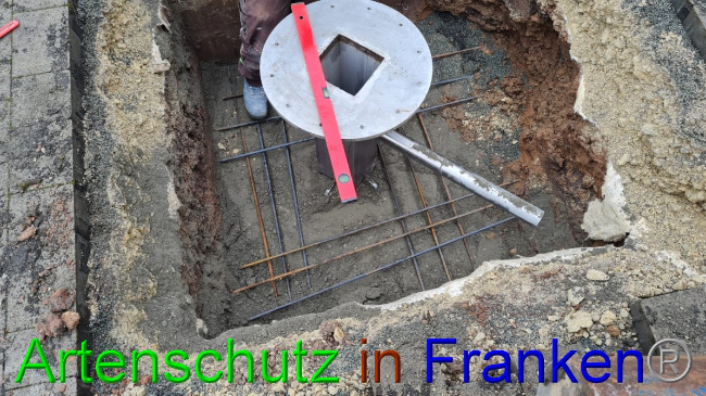 © Artenschutz in Franken® Bild zum Eintrag (1060009-160)