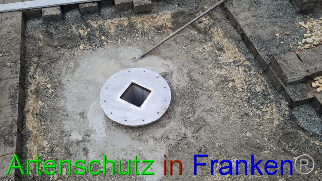 © Artenschutz in Franken® Bild zum Eintrag (1060012-160)