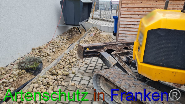 © Artenschutz in Franken® Bild zum Eintrag (1060019-160)