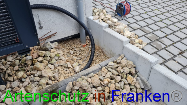 © Artenschutz in Franken® Bild zum Eintrag (1060021-160)