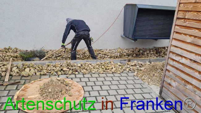 © Artenschutz in Franken® Bild zum Eintrag (1060023-160)