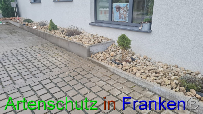 © Artenschutz in Franken® Bild zum Eintrag (1060028-160)