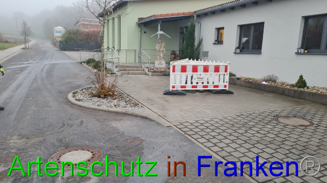 © Artenschutz in Franken® Bild zum Eintrag (1060030-160)