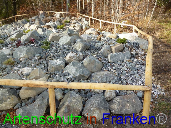 © Artenschutz in Franken® / Wagner Bild zum Eintrag (1060044-160)