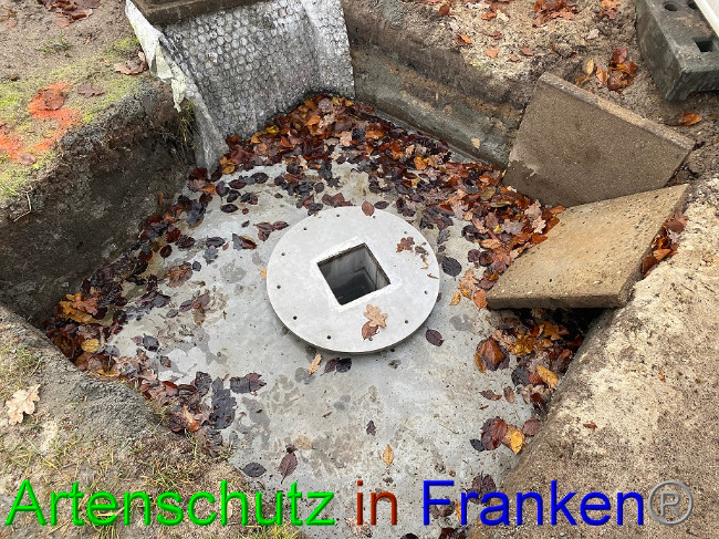 © Artenschutz in Franken® Bild zum Eintrag (1060269-160)