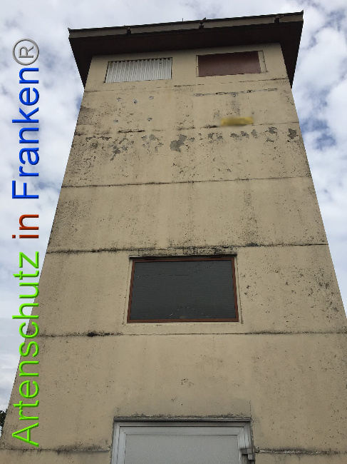 © Artenschutz in Franken® Bild zum Eintrag (1060342-160)