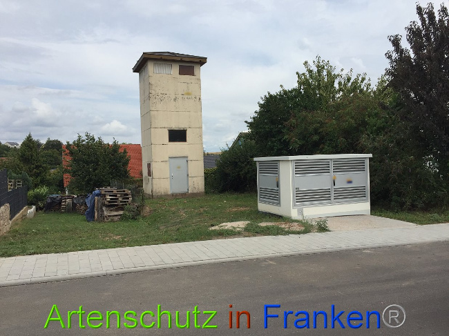 © Artenschutz in Franken® Bild zum Eintrag (1060344-160)