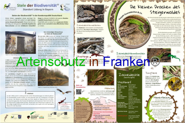 © Artenschutz in Franken® Bild zum Eintrag (1060532-160)