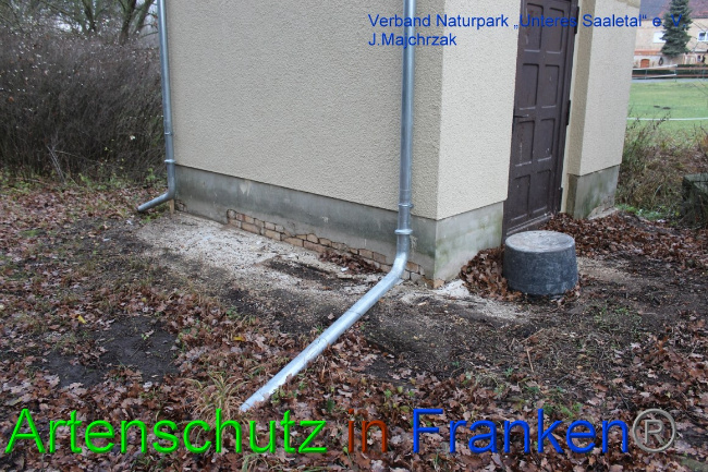 Bild zum Eintrag (1060879-160)