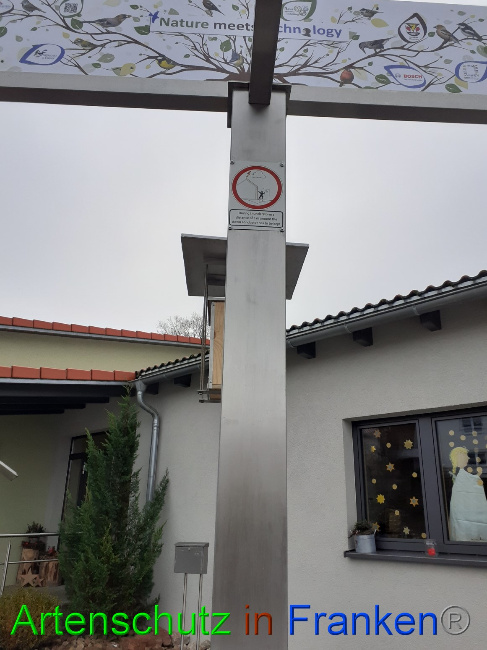 © Artenschutz in Franken® Bild zum Eintrag (1061026-160)