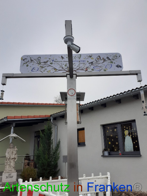© Artenschutz in Franken® Bild zum Eintrag (1061029-160)