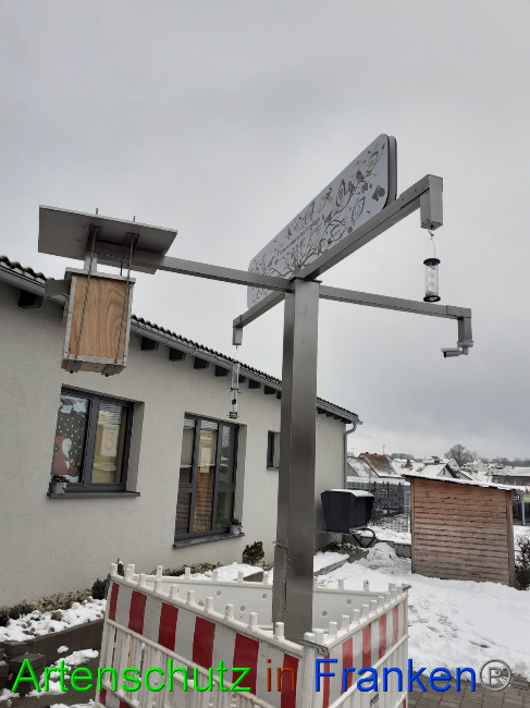 © Artenschutz in Franken® Bild zum Eintrag (1061030-160)