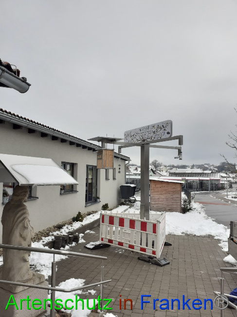 © Artenschutz in Franken® Bild zum Eintrag (1061031-160)