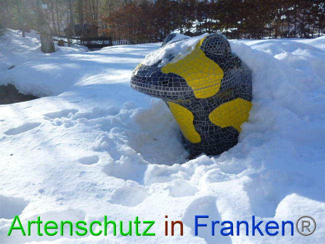 © Artenschutz in Franken® / Alpenklinik Santa Maria - Müller Bild zum Eintrag (1061302-160)