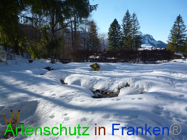 © Artenschutz in Franken® / Alpenklinik Santa Maria - Müller Bild zum Eintrag (1061304-160)