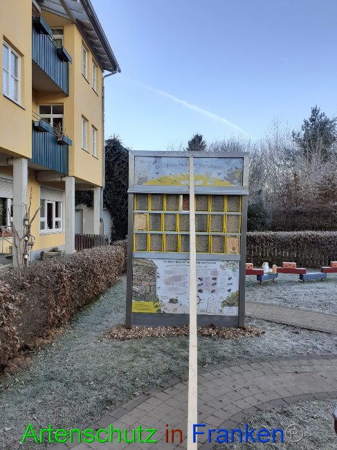© Artenschutz in Franken® Bild zum Eintrag (1061321-160)