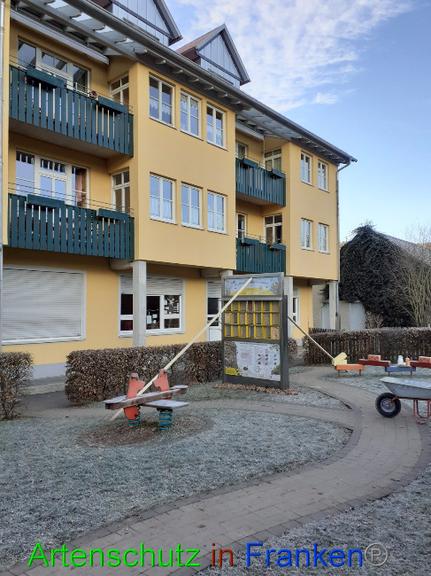 © Artenschutz in Franken® Bild zum Eintrag (1061323-160)