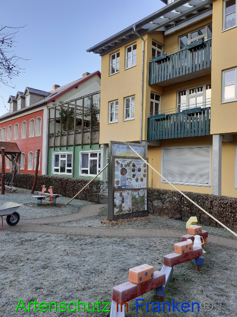 © Artenschutz in Franken® Bild zum Eintrag (1061324-160)