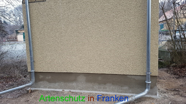 © Artenschutz in Franken® / Verband Naturpark „Unteres Saaletal“ e. V. J.Majchrzak Bild zum Eintrag (1061371-160)