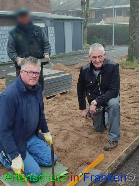 © Artenschutz in Franken® / Michael Sonfeld Bild zum Eintrag (1061565-160)