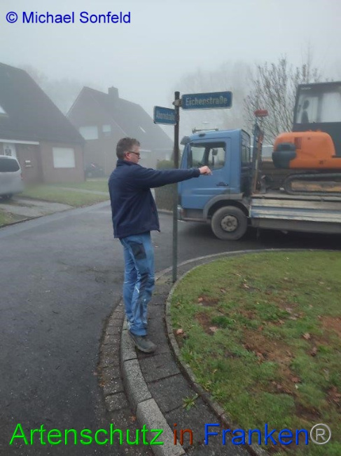 © Artenschutz in Franken® / Michael Sonfeld Bild zum Eintrag (1061566-160)