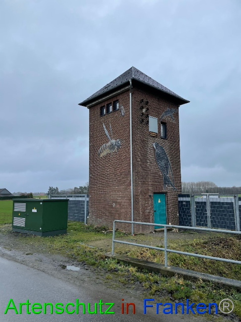 © Artenschutz in Franken® / Vehoff Bild zum Eintrag (1061626-160)