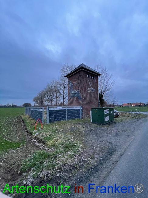 Bild zum Eintrag (1061636-160)