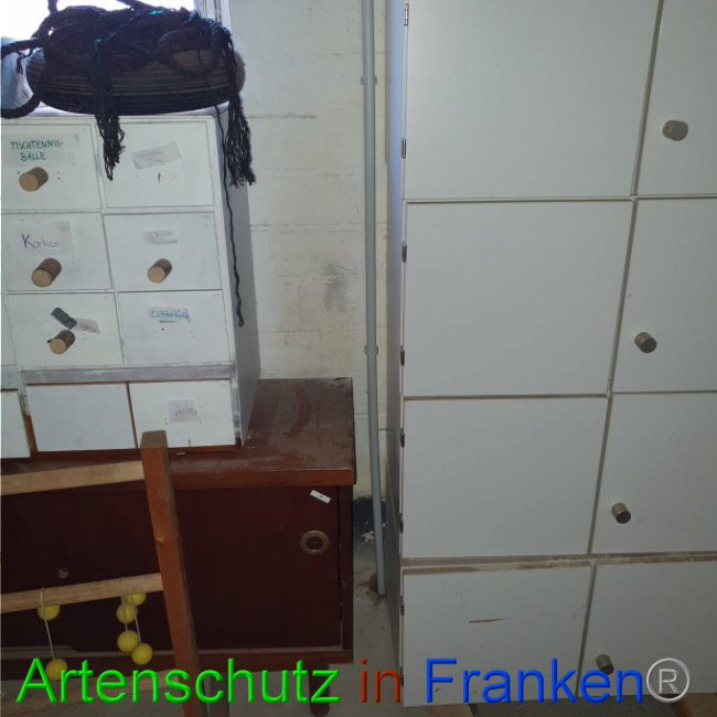 © Artenschutz in Franken® Bild zum Eintrag (1062109-160)
