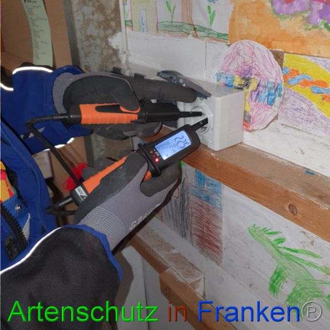 © Artenschutz in Franken® Bild zum Eintrag (1062110-160)
