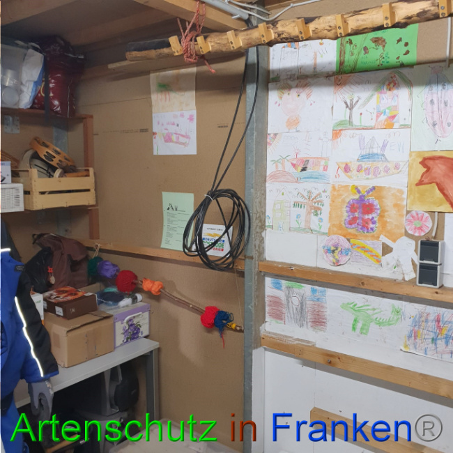 © Artenschutz in Franken® Bild zum Eintrag (1062111-160)