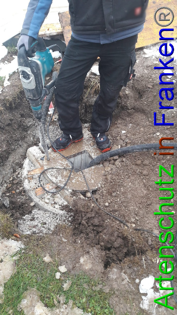 © Artenschutz in Franken® Bild zum Eintrag (1062201-160)