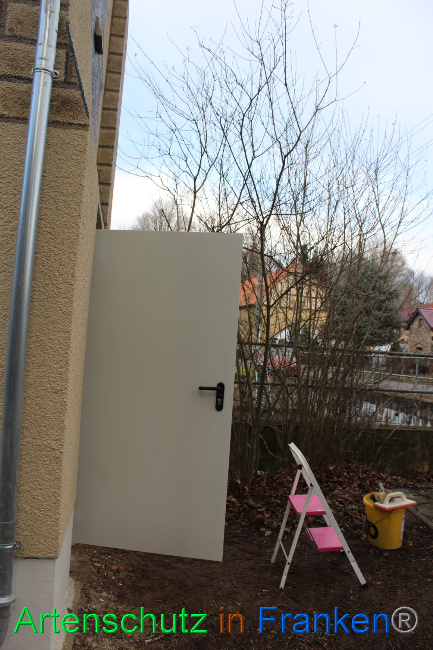 © Artenschutz in Franken® Bild zum Eintrag (1062518-160)