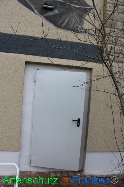 © Artenschutz in Franken® Bild zum Eintrag (1062520-160)