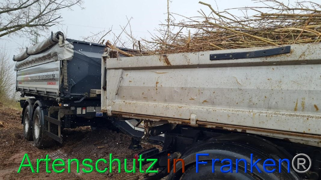 © Artenschutz in Franken® Bild zum Eintrag (1062657-160)
