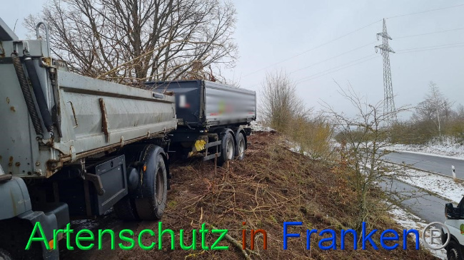 © Artenschutz in Franken® Bild zum Eintrag (1062658-160)