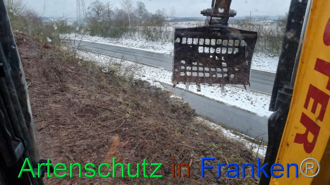© Artenschutz in Franken® Bild zum Eintrag (1062659-160)