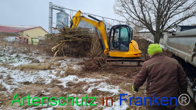 © Artenschutz in Franken® Bild zum Eintrag (1062669-160)
