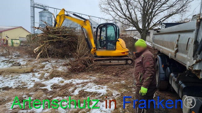 © Artenschutz in Franken® Bild zum Eintrag (1062670-160)