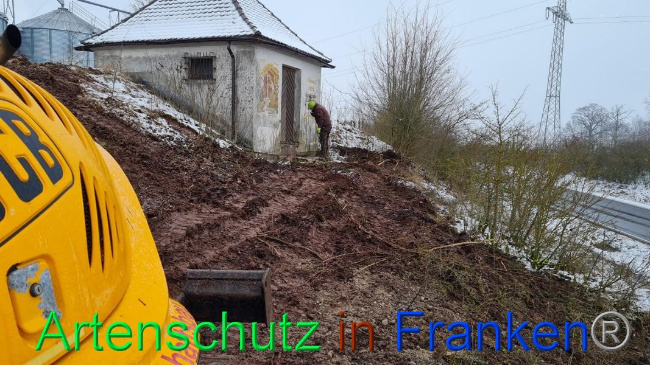 © Artenschutz in Franken® Bild zum Eintrag (1062679-160)
