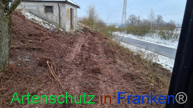 © Artenschutz in Franken® Bild zum Eintrag (1062687-160)