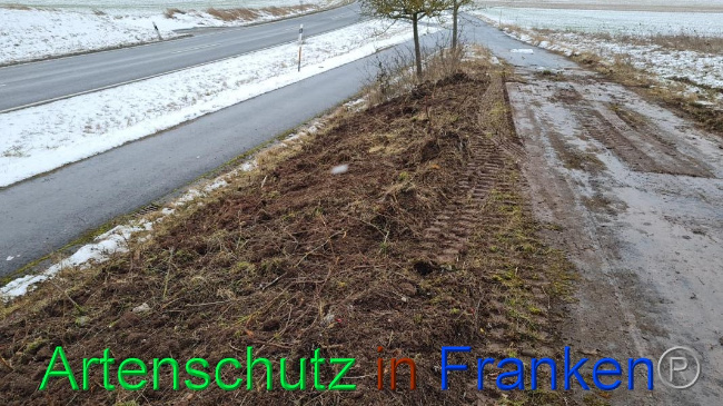 © Artenschutz in Franken® Bild zum Eintrag (1062688-160)