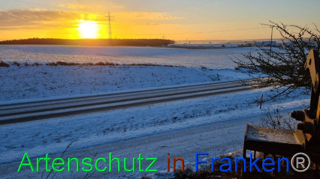 © Artenschutz in Franken® Bild zum Eintrag (1062693-160)