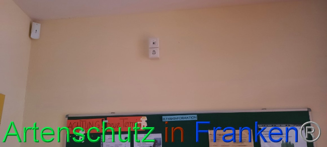 © Artenschutz in Franken® Bild zum Eintrag (1062968-160)