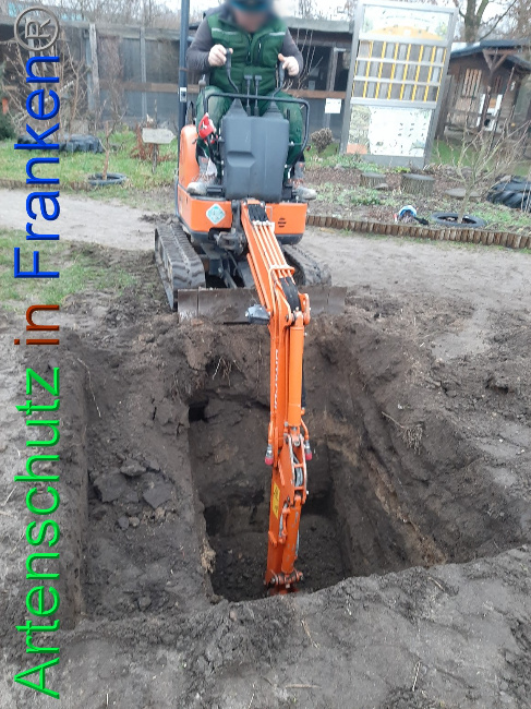 © Artenschutz in Franken® Bild zum Eintrag (1062990-160)