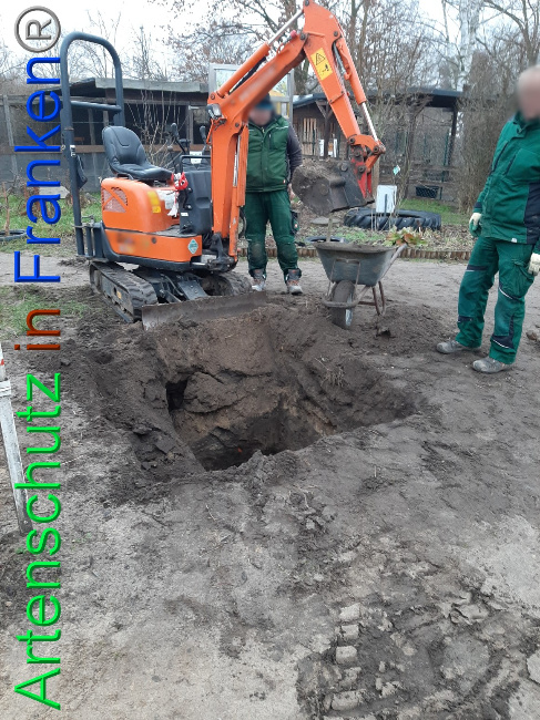 © Artenschutz in Franken® Bild zum Eintrag (1062992-160)
