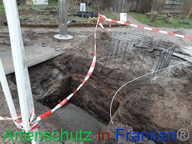 © Artenschutz in Franken® Bild zum Eintrag (1062996-160)