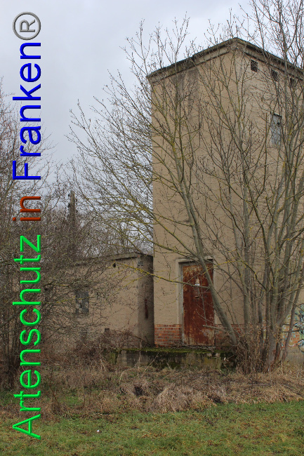 © Artenschutz in Franken® Bild zum Eintrag (1063027-160)