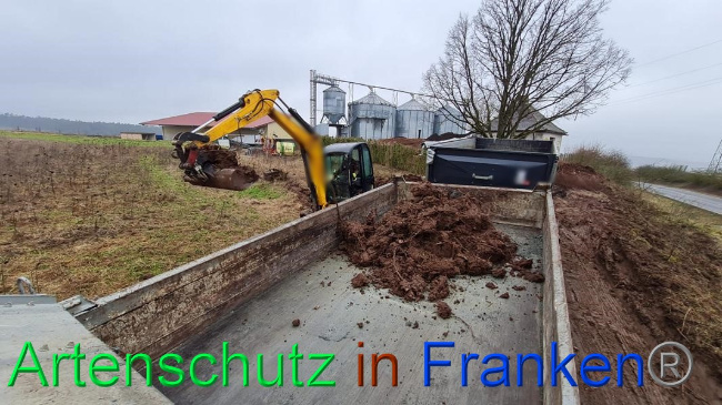 © Artenschutz in Franken® Bild zum Eintrag (1063295-160)