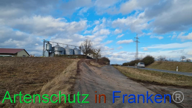 © Artenschutz in Franken® Bild zum Eintrag (1063296-160)